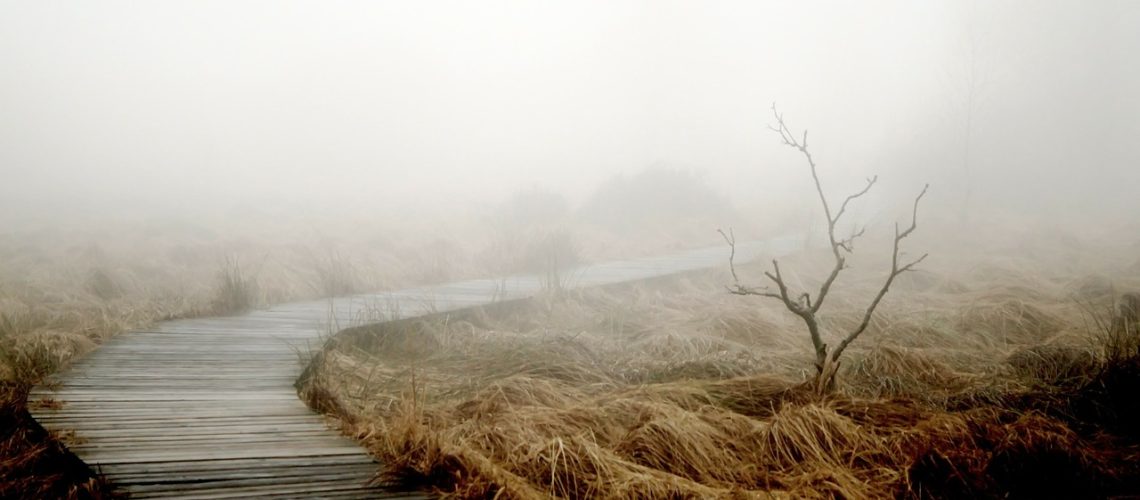 ondra.li_fog-258232_1280